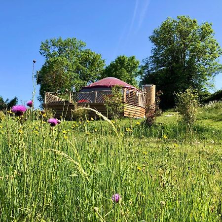 Yourte 2-4 Personnes Avec Spa Saint-Laurent-de-Lévézou Εξωτερικό φωτογραφία